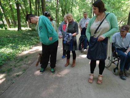 Grupa mieszkańców stoi na leśnej alejce w parku i przygląda się czemuś na ziemi