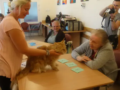Rudy kot na stole obok kartoników z cyframi, przy stole siedzą mieszkanki