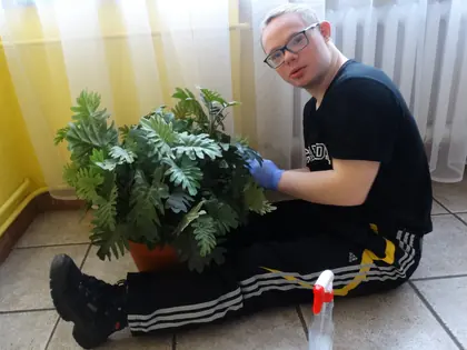Młody mężczyzna w rękawiczkach przesadza roślinę doniczkową