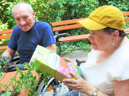Mieszkaniec i mieszkanka w czapce oglądają pudełko z nasionami w ogrodzie