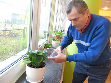 Mieszkaniec podlewa roślinę doniczkową na parapecie