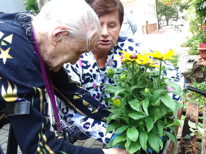 Ogrodowe działania