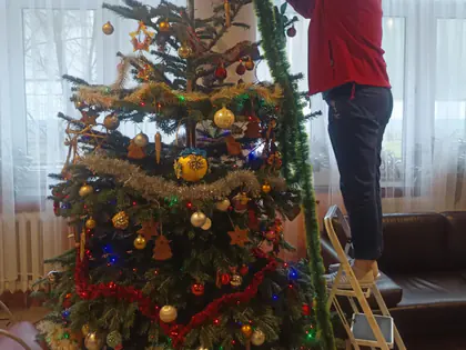 Pracownica na drabinie wiesza łańcuch na wysokiej choince