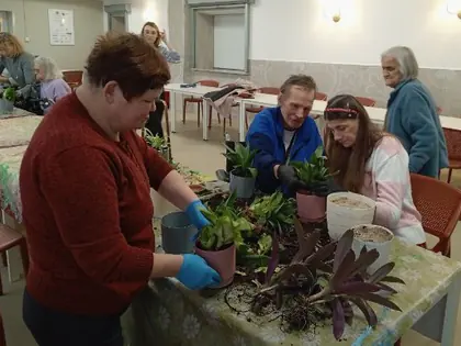 Mieszkańcy w rękawiczkach przesadzają rośliny doniczkowe