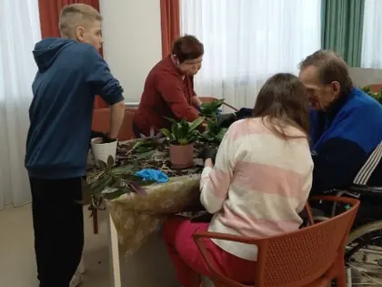 Przesadzanie kwiatów